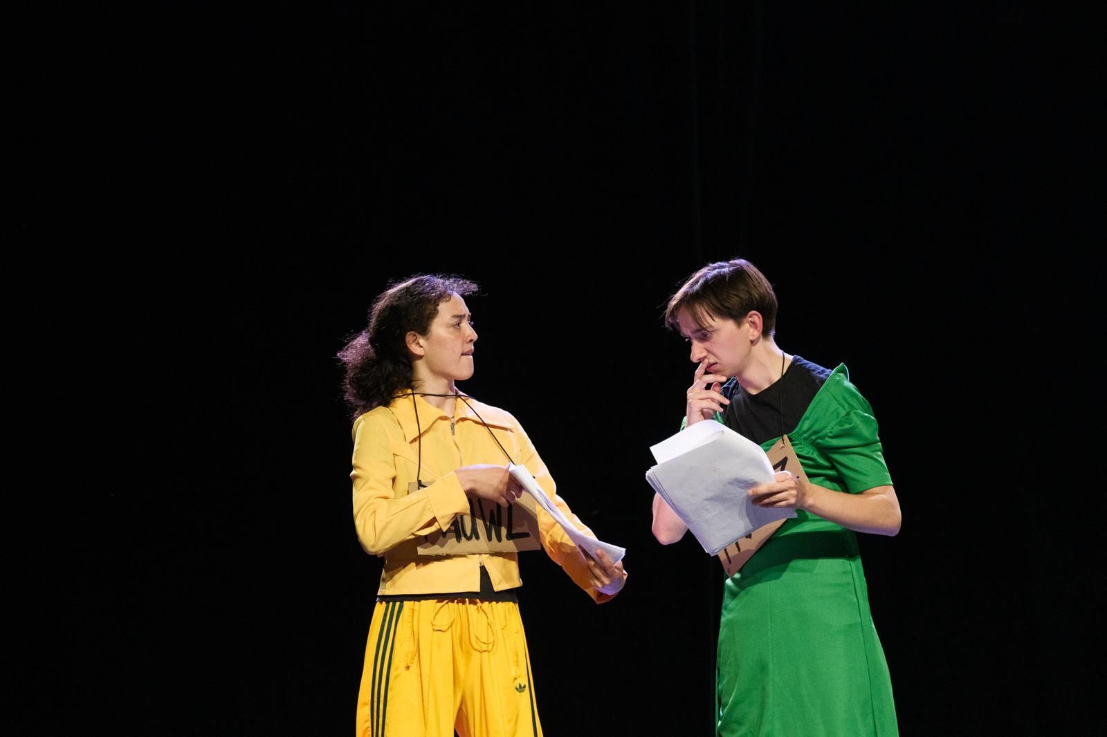 Een stoel, de dief en Elske