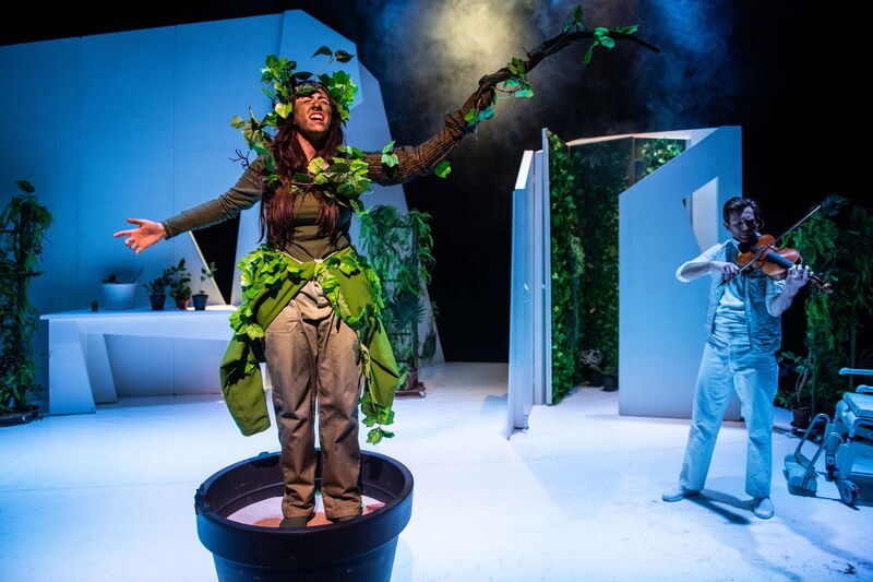 Het Groene Meisje 8+