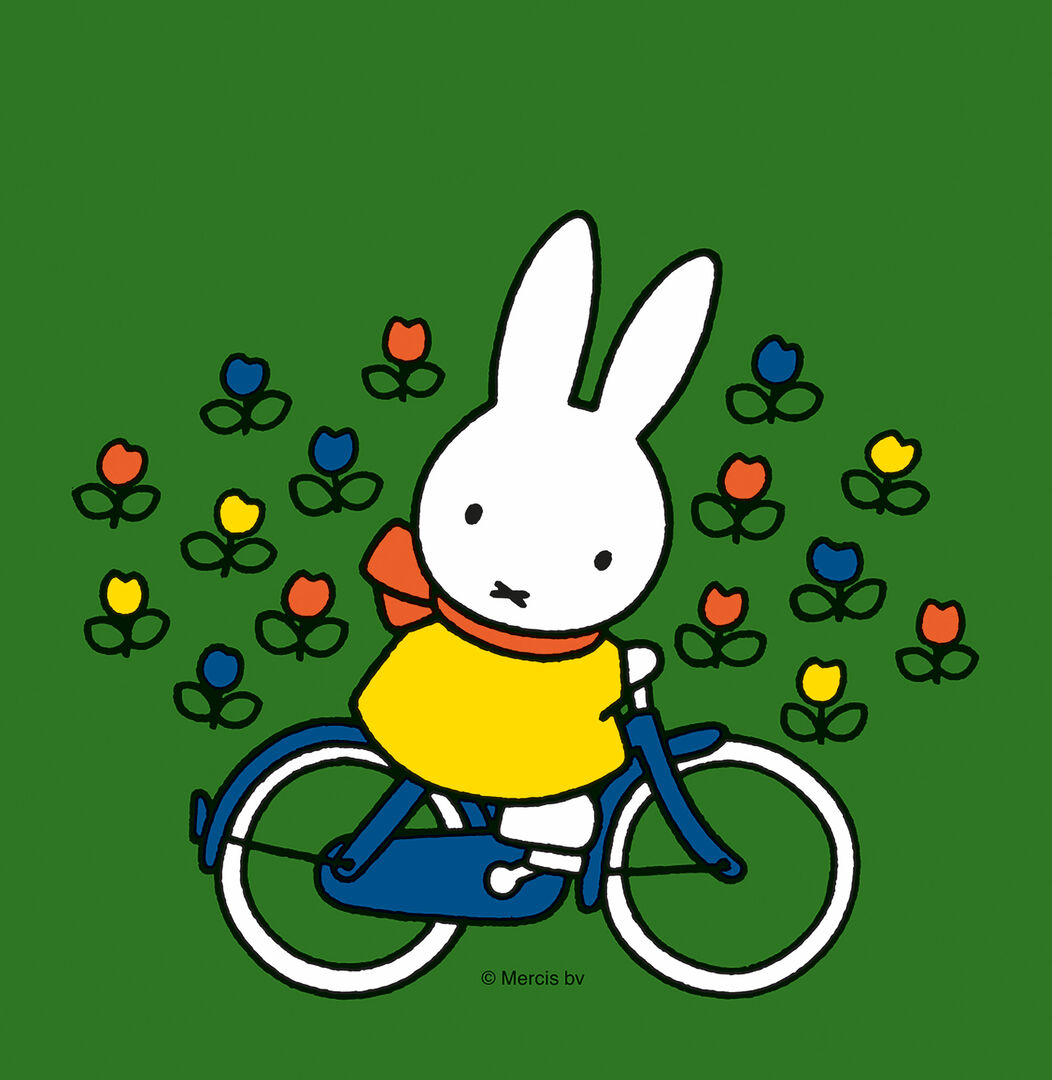 nijntje op de fiets 2+