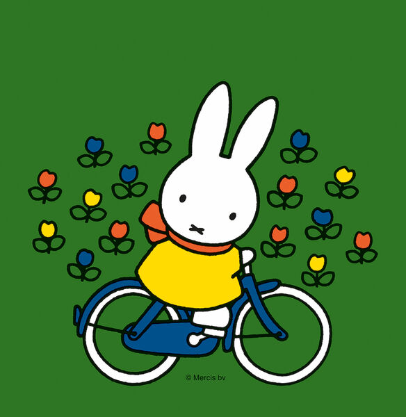 nijntje op de fiets 2+