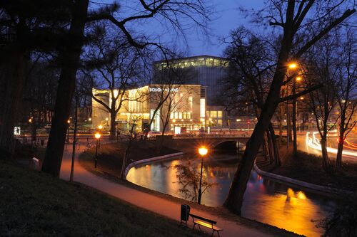 Orange the World