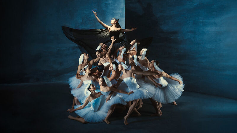 Swan Lake 6+