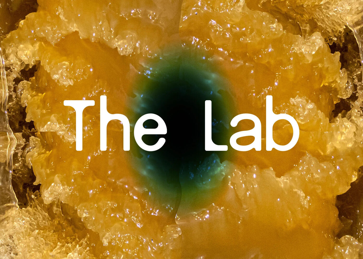 The Lab