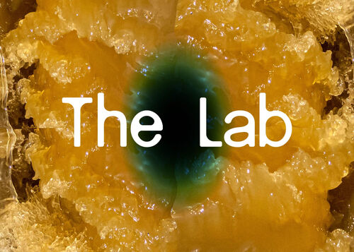 The Lab